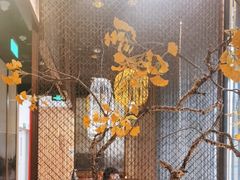 -京华烟云·北京烤鸭(领展购物广场·中关村店)