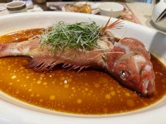 -顺轩海鲜火锅酒家