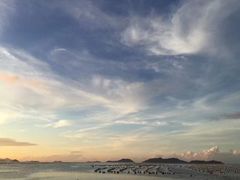 -枸杞岛