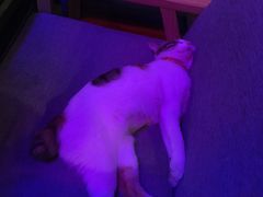 -蜉蝣酒吧(仓山万达店)