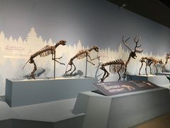 -浙江自然博物院(杭州馆)