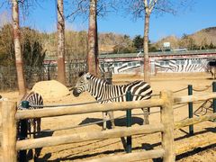 -大连森林动物园