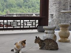 -五台山风景名胜区-罗睺寺