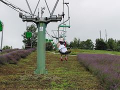 -富田农场