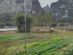 -明仕田园