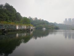 -重庆彩云湖湿地公园