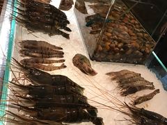 -Ministry of Crab(科伦坡店)