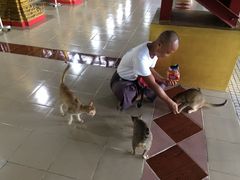 -ခြောက်ထပ်ကြီးရွှေသာလျောင်းဘုရားကြီး