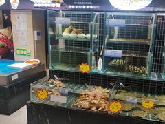-宏运厨房·海鲜青岛菜·生日宴(城市阳台店)