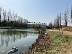 -前小桔亲子创意农场·草莓采摘·露营烧烤