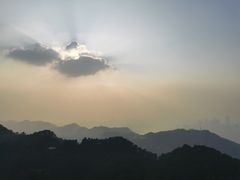 -大金鹰园