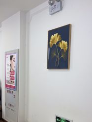 -西安壹加壹医疗美容·西北抗衰旗舰店