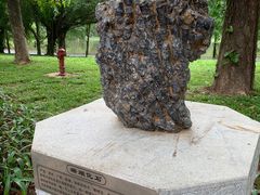 -东莞植物园