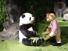 -成都泰迪熊博物馆