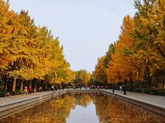 -玲珑塔公园