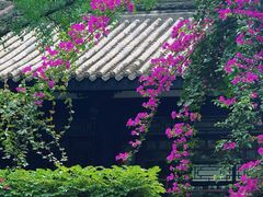 -大妙火锅·非物质文化遗产(东湖公园店)