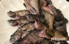Wild Sea Bass Roe