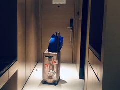 -碧桂园空港凤凰酒店(广州新白云机场店)