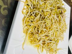笨豆芽炒肉丝-鑫诚筋饼王(红旗小区店)