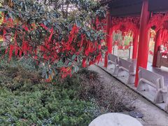 -开福禅寺