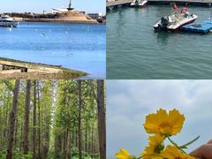 -巧克力渔家.小船海鲜胶东菜(万平口店)