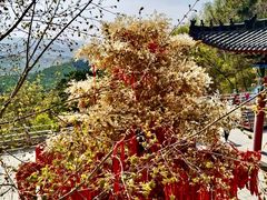 -九鼎铁刹山风景区