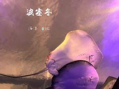 -哈尔滨波塞冬海底世界