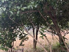 -杭州野生动物世界