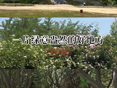 -洨河生态公园