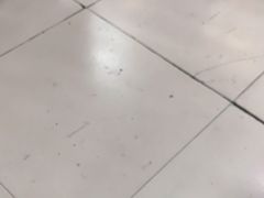 -小四川水煮鱼(南六中路店)