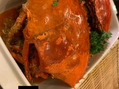 -茉莉.Red Crab