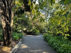 -墨尔本皇家植物园