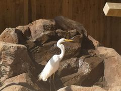 -可伦宾野生动物保护区
