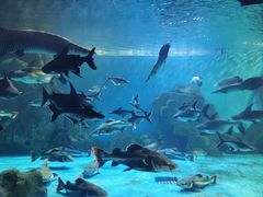 -多彩贵州城极地海洋世界