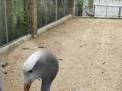 -盐城丹顶鹤湿地生态旅游区