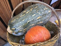 -大鹅岛绿色生态美食园