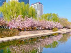 -海棠花溪(元大都城垣遗址公园)