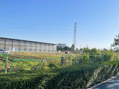 -长洲岛