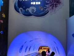 -常州海昌海洋探索馆
