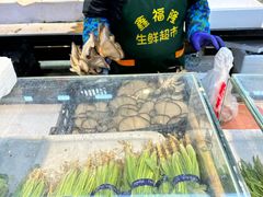 -鑫福隆生鲜超市(沈营大街店)