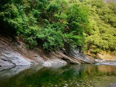 -黑河国家森林公园