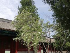 -大钟寺古钟博物馆