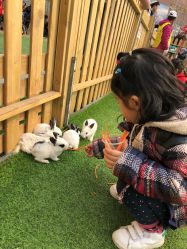 -萌宠亲子动物乐园(槐房万达店)