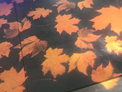 -大雁塔北广场音乐喷泉