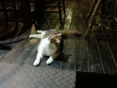 android_upload_pic-山色柴火烤披萨·西餐·窑炉披萨
