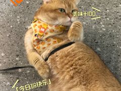 -想见你(咖啡·茶饮·甜品·江汉路店)