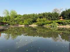 -嘉定紫藤园
