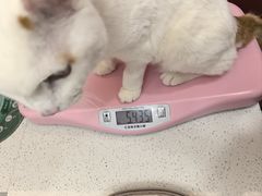 -御宝贝24h宠物医院·转诊中心·CT核磁血透中心(厦门总院)
