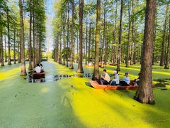 -渌洋湖湿地公园