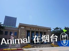-烟台市博物馆